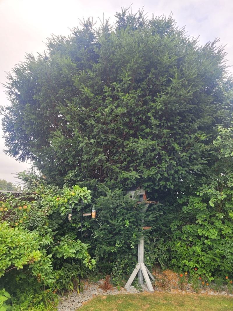 Other image for Barnsley’s Best Garden: Andrew forced to switch his tools